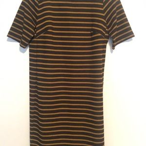 Loft Navy and Tan Dress